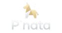 Pinata