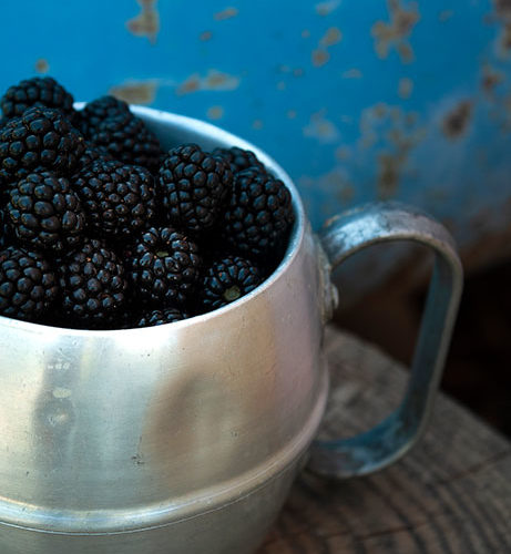 mermelada de moras silvestres casera